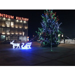 Zdjęcia użytkowników Sony Ericsson Xperia neo V