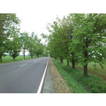 Zdjęcia użytkowników Sony Ericsson Xperia neo V