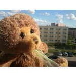 ZDJĘCIA Z TEGO TELEFONU