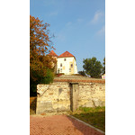 ZDJĘCIA Z TEGO TELEFONU