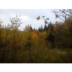 Zdjęcia użytkowników Sony Ericsson Xperia X10 mini Pro