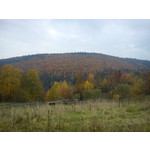 Zdjęcia użytkowników Sony Ericsson Xperia X10 mini Pro