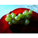 Zdjęcia użytkowników Sony Ericsson Xperia X10