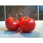 Zdjęcia użytkowników Sony Ericsson Xperia X10