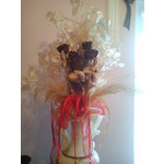 Zdjęcia użytkowników Sony Ericsson Xperia X8