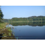 Zdjęcia użytkowników Sony Ericsson Xperia X8