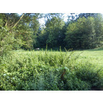 Zdjęcia użytkowników Sony Ericsson Zylo Zdjęcia użytkowników Sony Ericsson Zylo