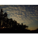 Zdjęcia użytkowników Sony Ericsson Zylo Zdjęcia użytkowników Sony Ericsson Zylo