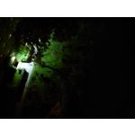 Zdjęcia użytkowników Sony Xperia 1 III