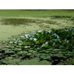 Zdjęcia użytkowników Sony Xperia 1 III