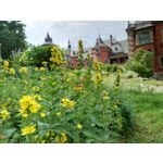 Zdjęcia użytkowników Sony Xperia 1 III