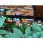 Zdjęcia użytkowników Sony Xperia 1 III