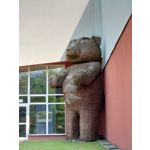 Zdjęcia użytkowników Sony Xperia 1 III