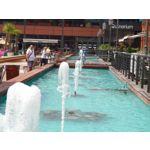 Zdjęcia użytkowników Sony Xperia 1 III