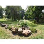 Zdjęcia użytkowników Sony Xperia 1 III