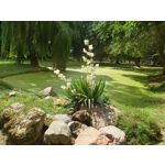 Zdjęcia użytkowników Sony Xperia 1 III