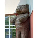 Zdjęcia użytkowników Sony Xperia 1 III