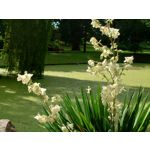 Zdjęcia użytkowników Sony Xperia 1 III