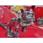 Zdjęcia użytkowników Sony Xperia 1 III