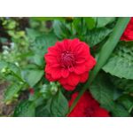 Zdjęcia użytkowników Sony Xperia 1 V Zdjęcia użytkowników Sony Xperia 1 V