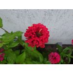 Zdjęcia użytkowników Sony Xperia 1 V Zdjęcia użytkowników Sony Xperia 1 V