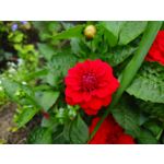 Zdjęcia użytkowników Sony Xperia 1 V Zdjęcia użytkowników Sony Xperia 1 V