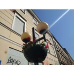 Zdjęcia użytkowników Sony Xperia 1