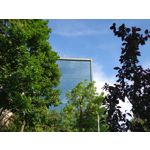 Zdjęcia użytkowników Sony Xperia 1