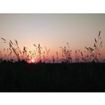 Zdjęcia użytkowników Sony Xperia 10 III