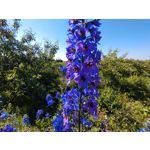 Zdjęcia użytkowników Sony Xperia 10 III