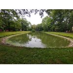 Zdjęcia użytkowników Sony Xperia 10 III