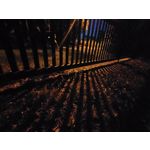 Zdjęcia użytkowników Sony Xperia 10 III