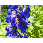 Zdjęcia użytkowników Sony Xperia 10 III