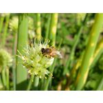 Zdjęcia użytkowników Sony Xperia 10 III