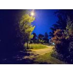 Zdjęcia użytkowników Sony Xperia 10 III