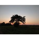 Zdjęcia użytkowników Sony Xperia 10 III