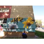 Zdjęcia użytkowników Sony Xperia 5 II Zdjęcia użytkowników Sony Xperia 5 II