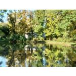 Zdjęcia użytkowników Sony Xperia 5 II Zdjęcia użytkowników Sony Xperia 5 II