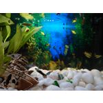 Zdjęcia użytkowników Sony Xperia 5 II Zdjęcia użytkowników Sony Xperia 5 II