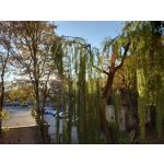 Zdjęcia użytkowników Sony Xperia 5 II Zdjęcia użytkowników Sony Xperia 5 II