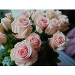 Zdjęcia użytkowników Sony Xperia 5 II Zdjęcia użytkowników Sony Xperia 5 II