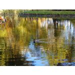 Zdjęcia użytkowników Sony Xperia 5 II Zdjęcia użytkowników Sony Xperia 5 II