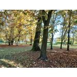 Zdjęcia użytkowników Sony Xperia 5 II Zdjęcia użytkowników Sony Xperia 5 II