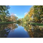 Zdjęcia użytkowników Sony Xperia 5 II Zdjęcia użytkowników Sony Xperia 5 II