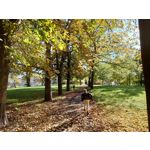 Zdjęcia użytkowników Sony Xperia 5 II Zdjęcia użytkowników Sony Xperia 5 II