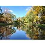 Zdjęcia użytkowników Sony Xperia 5 II Zdjęcia użytkowników Sony Xperia 5 II