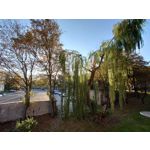 Zdjęcia użytkowników Sony Xperia 5 II Zdjęcia użytkowników Sony Xperia 5 II