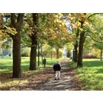 Zdjęcia użytkowników Sony Xperia 5 II Zdjęcia użytkowników Sony Xperia 5 II