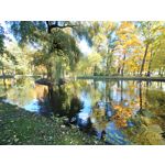 Zdjęcia użytkowników Sony Xperia 5 II Zdjęcia użytkowników Sony Xperia 5 II