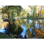 Zdjęcia użytkowników Sony Xperia 5 II Zdjęcia użytkowników Sony Xperia 5 II